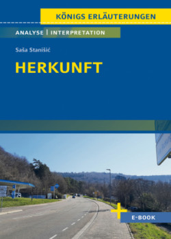 Herkunft von Sasa  Stanisic - Textanalyse und Interpretation