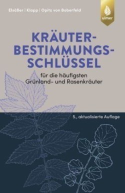 Kräuterbestimmungsschlüssel für die häufigsten Grünland- und Rasenkräuter