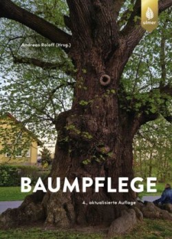 Baumpflege