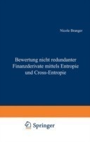 Bewertung nicht redundanter Finanzderivate mittels Entropie und Cross-Entropie