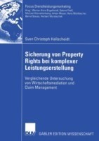 Sicherung von Property Rights bei komplexer Leistungserstellung