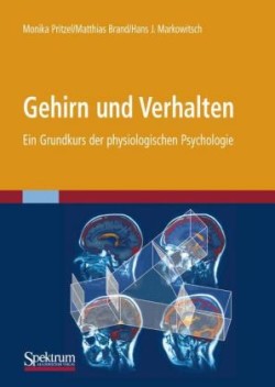 Gehirn und Verhalten