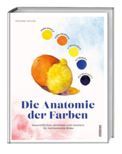 Die Anatomie der Farben