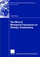Effect of Managerial Experiences on Strategic Sensemaking