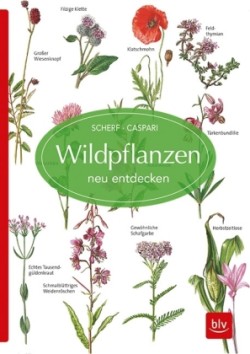 Wildpflanzen neu entdecken