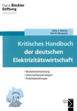 Kritisches Handbuch der deutschen Elektrizitätswirtschaft