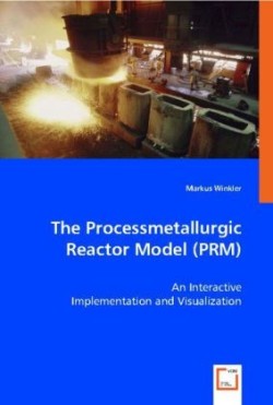 Processmetallurgic Reactor Model (PRM) - An Interactive Implementation and Visualization