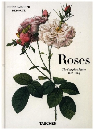 Redouté. Roses