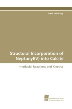 Structural Incorporation of Neptunyl(V) into Calcite