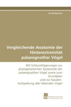 Vergleichende Anatomie der Hinterextremität palaeognather Vögel