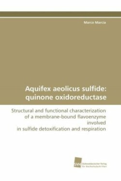 Aquifex Aeolicus Sulfide