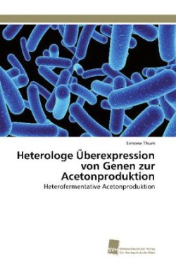 Heterologe Überexpression von Genen zur Acetonproduktion