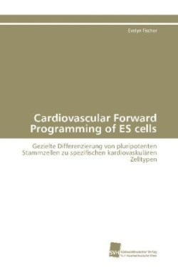 Cardiovascular Forward Programming of ES cells