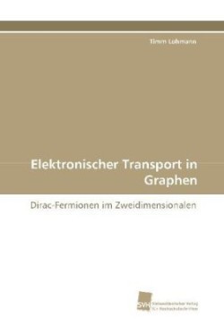 Elektronischer Transport in Graphen