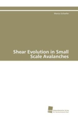 Shear Evolution in Small Scale Avalanches