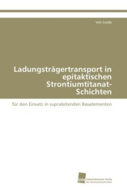 Ladungsträgertransport in epitaktischen Strontiumtitanat-Schichten