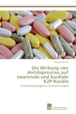 Wirkung von Antidepressiva auf neuronale und kardiale K2P-Kanäle