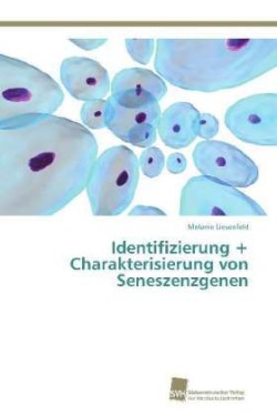 Identifizierung + Charakterisierung von Seneszenzgenen