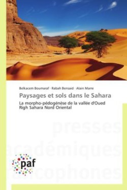 Paysages et sols dans le Sahara
