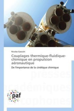 Couplages Thermique-Fluidique-Chimique En Propulsion Aéronautique