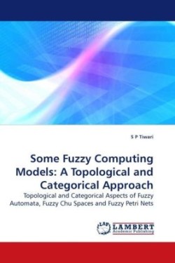 Some Fuzzy Computing Models