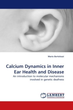Calcium Dynamics in Inner Ear Health and Disease