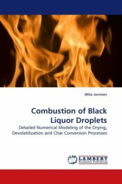 Combustion of Black Liquor Droplets