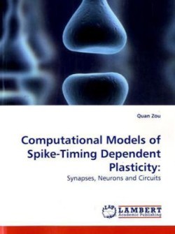 Computational Models of Spike-Timing Dependent Plasticity