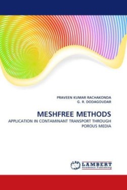 Meshfree Methods