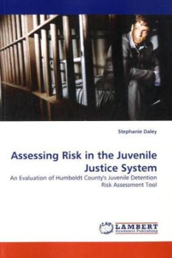 Assessing Risk in the Juvenile Justice System