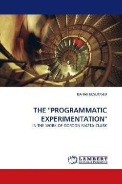 "Programmatic Experimentation"