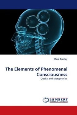 Elements of Phenomenal Consciousness