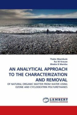 Analytical Approach to the Characterization and Removal