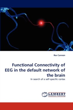 Functional Connectivity of Eeg in the Default Network of the Brain