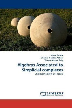 Algebras Associated to Simplicial complexes