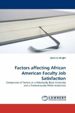 Factors affecting African American Faculty Job Satisfaction