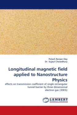 Longitudinal Magnetic Field Applied to Nanostructure Physics