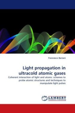 Light Propagation in Ultracold Atomic Gases