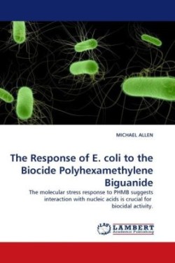 Response of E. Coli to the Biocide Polyhexamethylene Biguanide