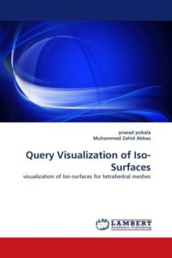 Query Visualization of Iso-Surfaces