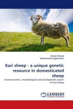 Kari Sheep - A Unique Genetic Resource in Domesticated Sheep