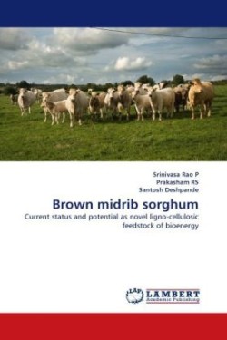 Brown Midrib Sorghum