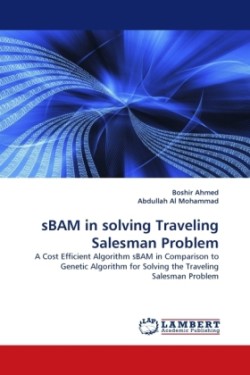 sBAM in solving Traveling Salesman Problem