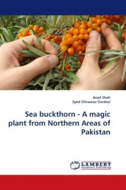 Sea Buckthorn - A Magic Plant from Northern Areas of Pakistan