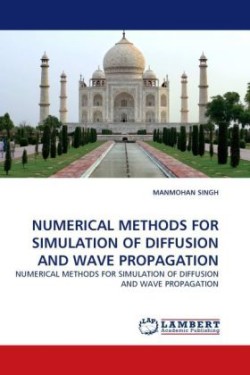 Numerical Methods for Simulation of Diffusion and Wave Propagation