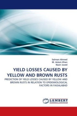 Yield Losses Caused by Yellow and Brown Rusts