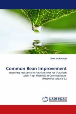 Common Bean Improvement