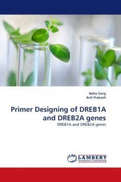 Primer Designing of Dreb1a and Dreb2a Genes