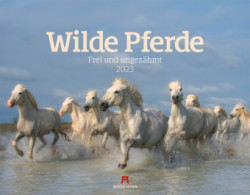 Wilde Pferde Kalender 2023