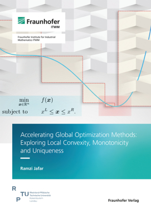 Accelerating Global Optimization Methods: Exploring Local Convexity, Monotonicity and Uniqueness